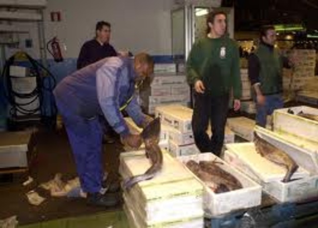 Entrada en el negocio familiar