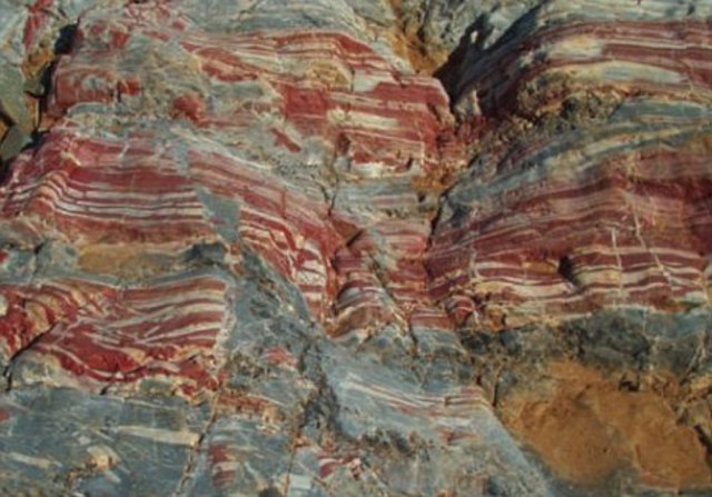 (4 BY A) Life and Rocks are forming