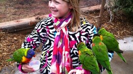 Timeline: Spring Break 2012