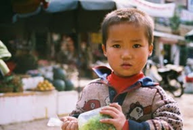 Discussion of Humanitarian Issues