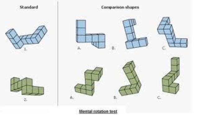 "Mental Tests and Measurements"