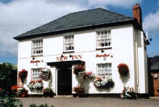 Where and what he studied at university