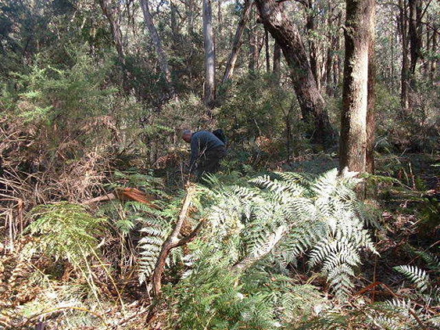 Him and the police had a shoot out