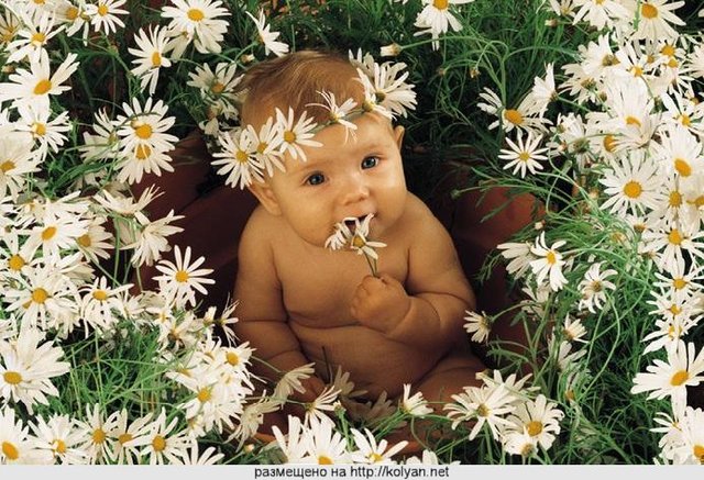 NACIO MI SOBRINA LUCIANA