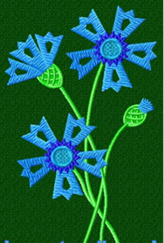 День восстановления независимости (Taasiseseisvumispäev )