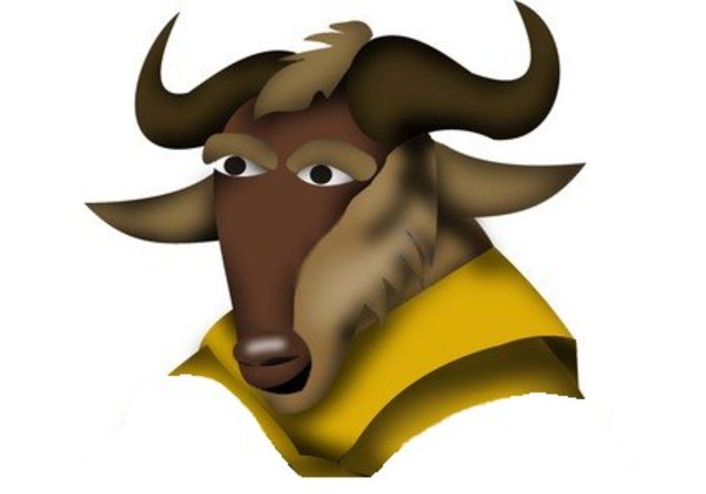 SE CREA LA LICENCIA GPL