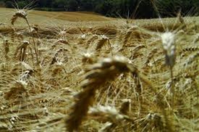 Aprofundamento da crise economica