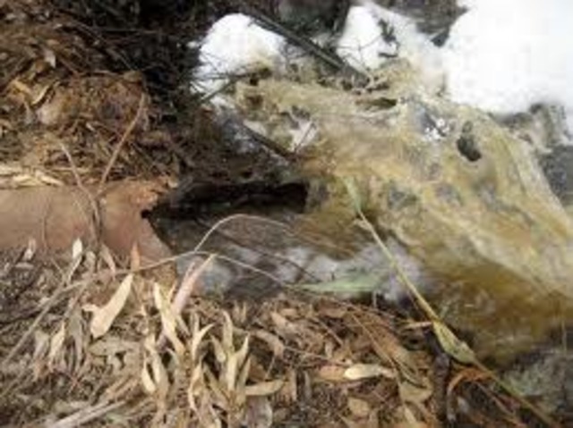 Missouri vs. Illinois and Chicago Sanitary District