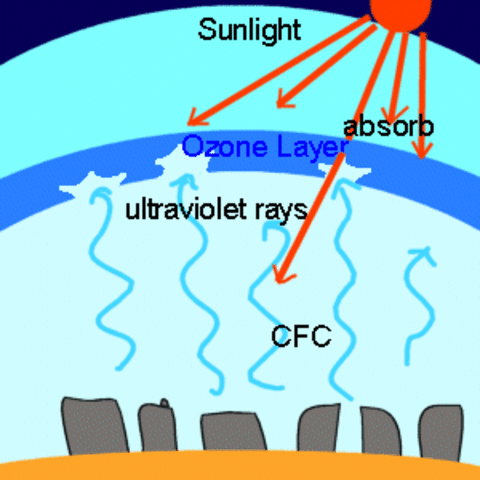 (1 BY A) Ozone formed