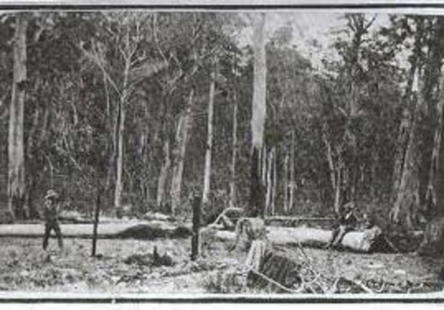 Ned Kelly and gang at stringy Creek