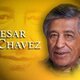 Cesar chavez 3
