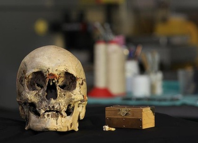 Ned kelly remains identified