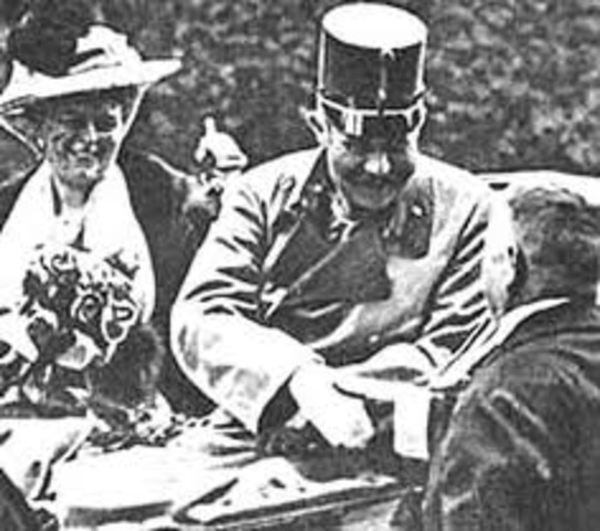 bomaanslag op Frans Ferdinand, aanleiding WO I