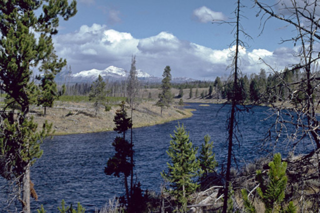 Yellowstone National Park