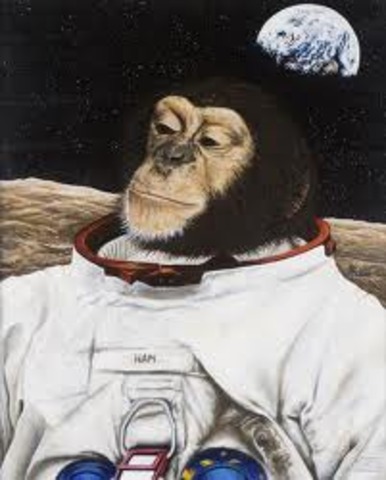 monkey in space