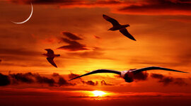 Timeline: MI CORTA VIDA