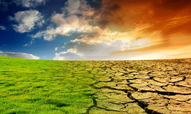 Global average temperatures have risen by 4°C