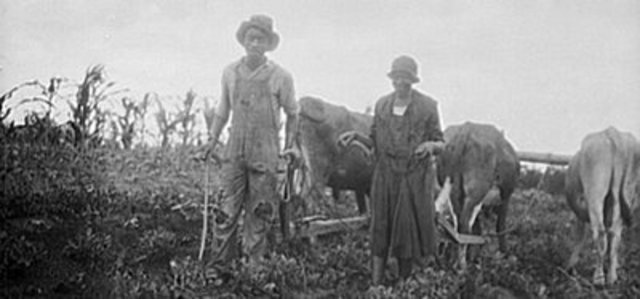 Colored Farmers' National Alliance