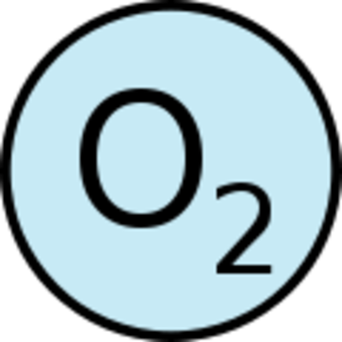 2 Billion Year Ago...