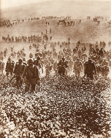 Germany Invaded Belgium