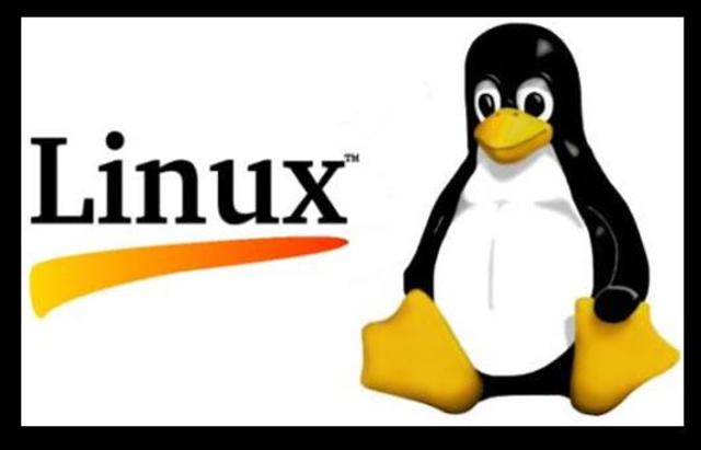Nacimiento de linux