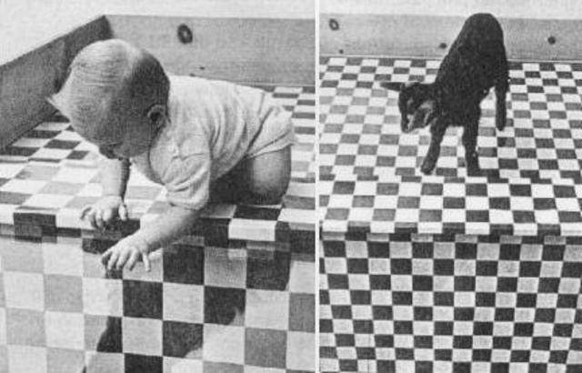 R.D. Walk and Eleanor Gibson develop the visual cliff for studying depth perception