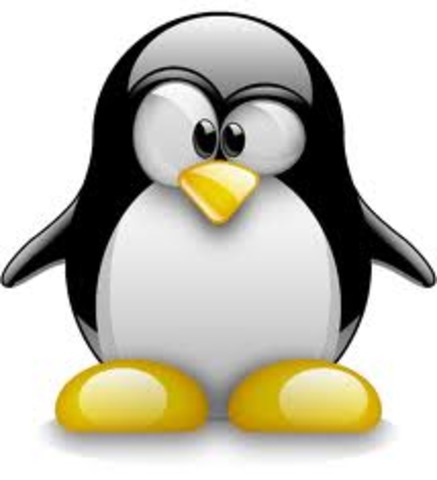 Linux 2.6.28