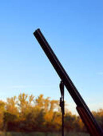 Shotgun