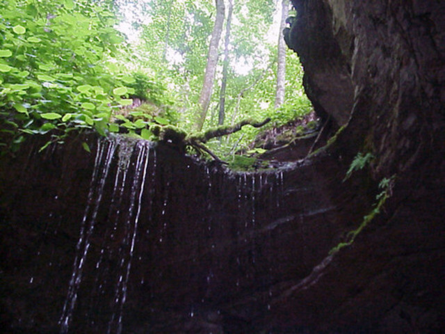 Mammoth Cave National Park