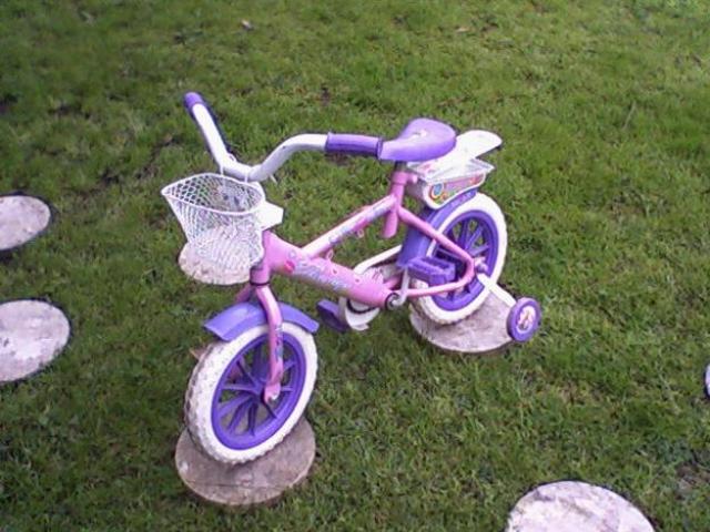 Quan vaig anar amb bici