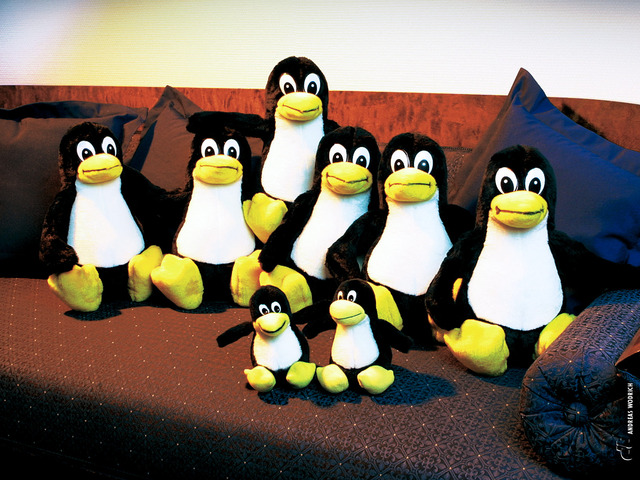 anunció este sistema en un envío a la red Usenet