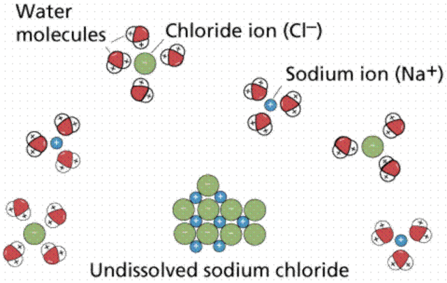 (4 BYA) Organic molecules
