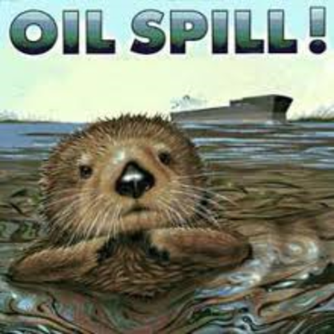 San Fransico Oil Spill