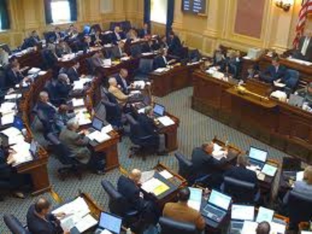 The Virginia General Assembly