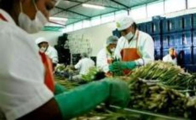 Barreras Tecnicas y Sanitarias