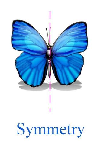 Shape Size and Symmetry