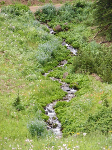 I love hiking, camping, fishing, and anything else you can do outdoors.