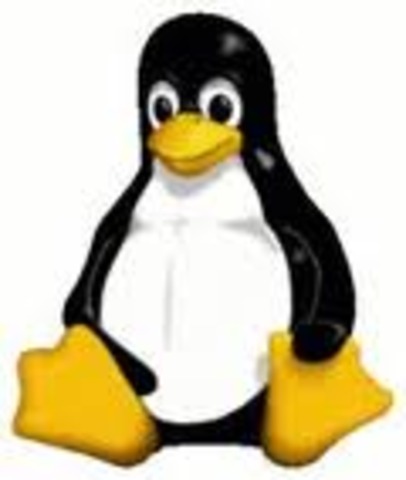 se mejoro la version 1.3 y se hizo la versionLinux v1.3.59