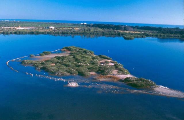 First national wildlife refuge established at Pelican Island, Florida, to protect the brown pelican.