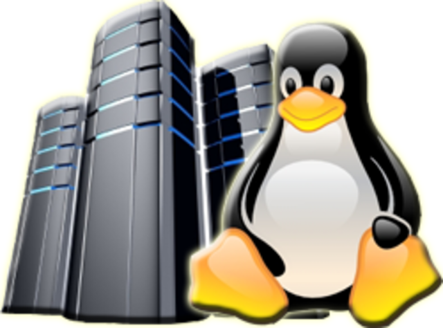 Servidor X para Linux.