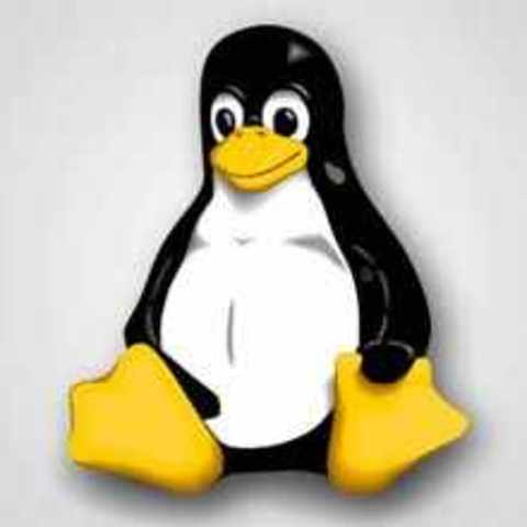 Inicio del programa LINUX