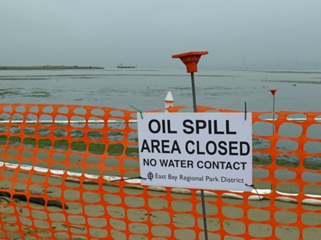 San Francisco Oil Spill