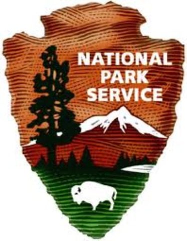NPS