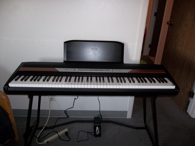 Bought a Korg SP250