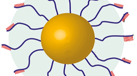 Timeline: History of Pancreatic Cancer Treatments
