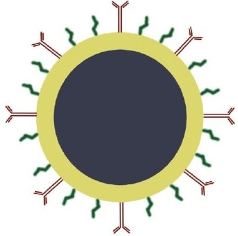 Development of a method to mass produce gold nanoshells and anti-CA 19-9