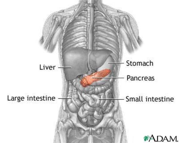 First successful treatment of pancreatic cancer using LANAPT