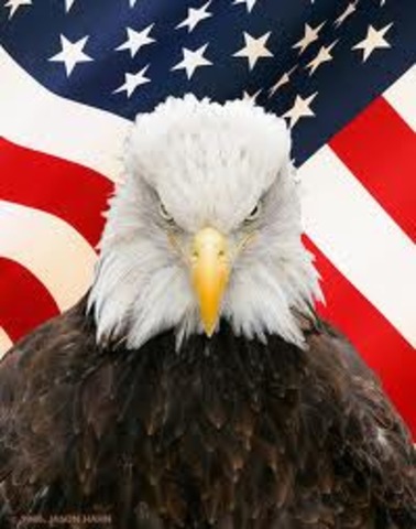 Bald Eagle Preservation Act