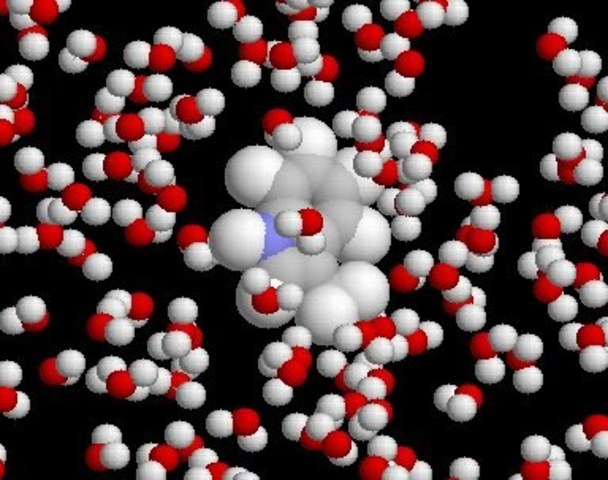 1900's - present Fox