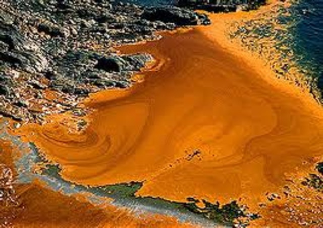 Exxon Valdez Oil Spill